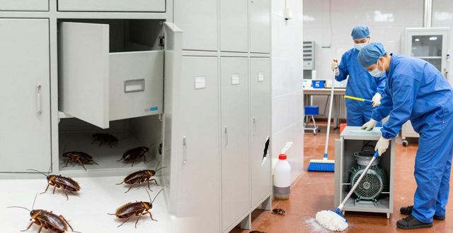 除四害产品_食品安全除四害制度_食品厂除四害